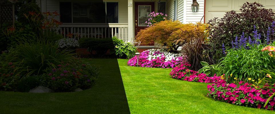 Charlottesville Landscapers