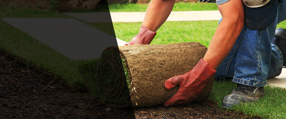 Charlottesville Landscapers